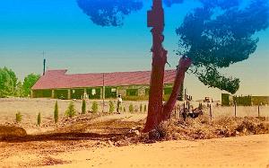LE TELAGH FERME BOUGEON 01